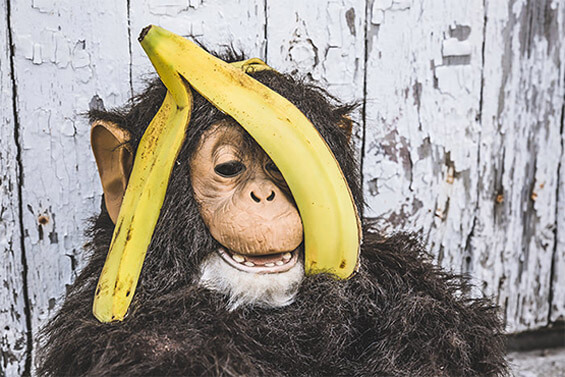 ddos压力测试网页端