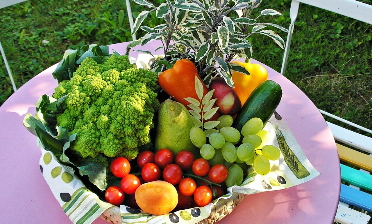 免费ddos平台攻击