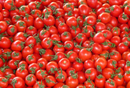 官方下载地址的ddos在线攻击